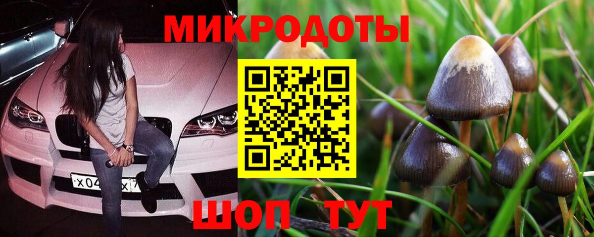 Галлюциногенные грибы Cubensis  Вход с VPN  Заринск  Псилоцибиновые грибы мухоморы 